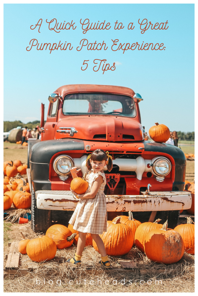 A Quick Guide to a Great Pumpkin Patch Visit: 5 Tips