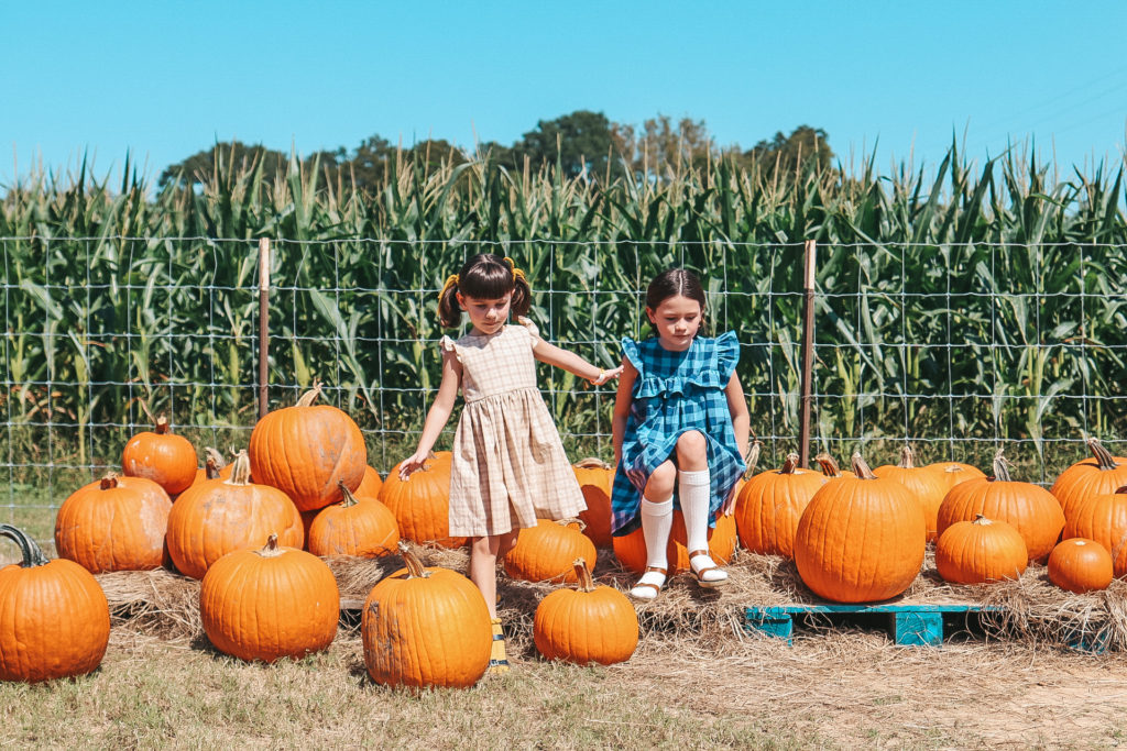 A Quick Guide to a Great Pumpkin Patch Visit: 5 Tips