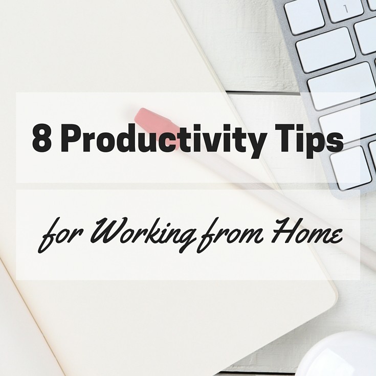 8 Productivity Tips for Working from Home Effectively - The Cuteness