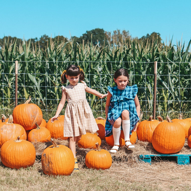 pumpkin patch photo ideas