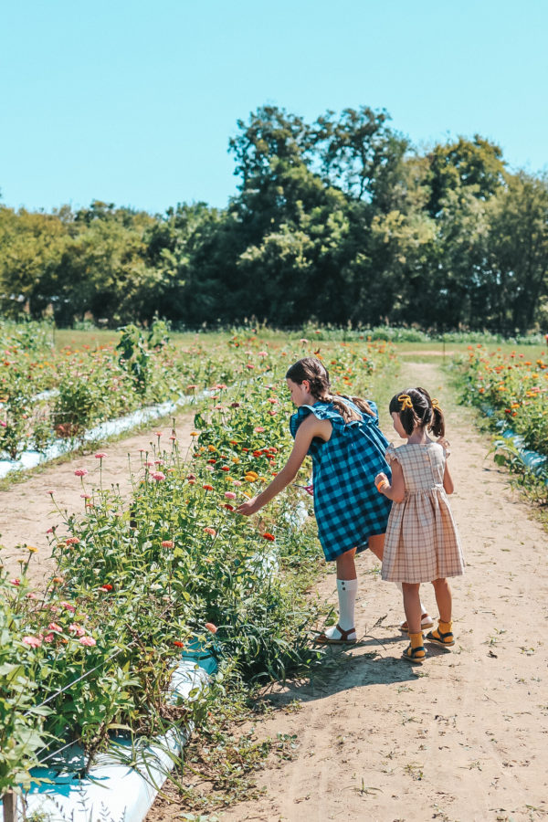 A Quick Guide to a Great Pumpkin Patch Visit: 5 Tips - The Cuteness